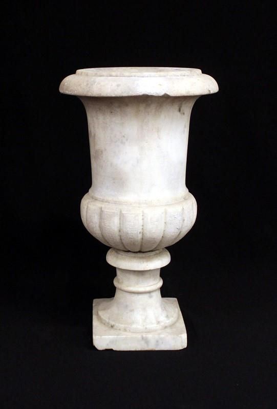 Elemento decorativo, sec. XIX&nbsp;&nbsp;&nbsp;&nbsp;&nbsp;&nbsp;&nbsp;&nbsp;&nbsp;&nbsp;&nbsp;&nbsp;&nbsp;&nbsp;&nbsp;&nbsp;&nbsp;&nbsp;&nbsp;&nbsp;&nbsp;&nbsp;&nbsp;&nbsp;&nbsp;&nbsp;&nbsp;&nbsp;&nbsp;&nbsp;&nbsp;&nbsp;&nbsp;&nbsp;&nbsp;&nbsp;&nbsp;&nbsp;&nbsp;&nbsp;&nbsp;&nbsp;&nbsp;&nbsp;&nbsp;