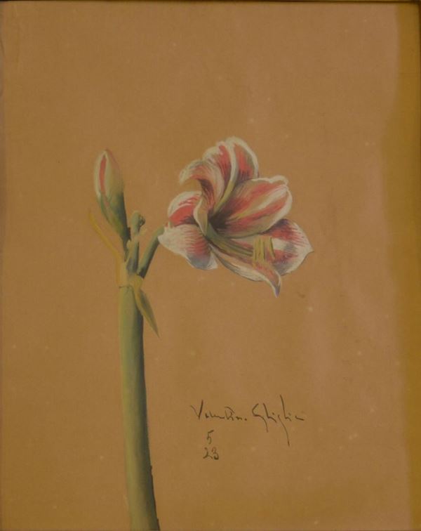 Valentino Ghiglia&nbsp;&nbsp;&nbsp;&nbsp;&nbsp;&nbsp;&nbsp;&nbsp;&nbsp;&nbsp;&nbsp;&nbsp;&nbsp;&nbsp;&nbsp;&nbsp;&nbsp;&nbsp;&nbsp;&nbsp;&nbsp;&nbsp;&nbsp;&nbsp;&nbsp;&nbsp;&nbsp;&nbsp;&nbsp;&nbsp;&nbsp;&nbsp;&nbsp;&nbsp;&nbsp;&nbsp;&nbsp;&nbsp;&nbsp;&nbsp;&nbsp;&nbsp;&nbsp;&nbsp;&nbsp;&nbsp;&nbsp;&nbsp;&nbsp;&nbsp;&nbsp;&nbsp;&nbsp;&nbsp;&nbsp;&nbsp;&nbsp;