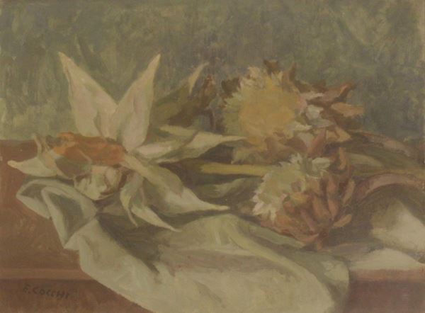Ennio Cocchi&nbsp;&nbsp;&nbsp;&nbsp;&nbsp;&nbsp;&nbsp;&nbsp;&nbsp;&nbsp;&nbsp;&nbsp;&nbsp;&nbsp;&nbsp;&nbsp;&nbsp;&nbsp;&nbsp;&nbsp;&nbsp;&nbsp;&nbsp;&nbsp;&nbsp;&nbsp;&nbsp;&nbsp;&nbsp;&nbsp;&nbsp;&nbsp;&nbsp;&nbsp;&nbsp;&nbsp;&nbsp;&nbsp;&nbsp;&nbsp;&nbsp;&nbsp;&nbsp;&nbsp;&nbsp;&nbsp;&nbsp;&nbsp;&nbsp;&nbsp;&nbsp;&nbsp;&nbsp;&nbsp;&nbsp;&nbsp;&nbsp;&nbsp;&nbsp;&nbsp;&nbsp;&nbsp;
