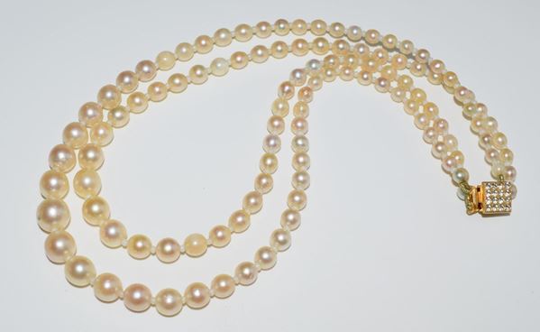 COLLANA GIROCOLLO DI PERLE&nbsp;&nbsp;&nbsp;&nbsp;&nbsp;&nbsp;&nbsp;&nbsp;&nbsp;&nbsp;&nbsp;&nbsp;&nbsp;&nbsp;&nbsp;&nbsp;&nbsp;&nbsp;&nbsp;&nbsp;&nbsp;&nbsp;&nbsp;&nbsp;&nbsp;&nbsp;&nbsp;&nbsp;&nbsp;&nbsp;&nbsp;&nbsp;&nbsp;&nbsp;&nbsp;&nbsp;&nbsp;&nbsp;&nbsp;&nbsp;&nbsp;&nbsp;&nbsp;&nbsp;&nbsp;&nbsp;&nbsp;&nbsp;
