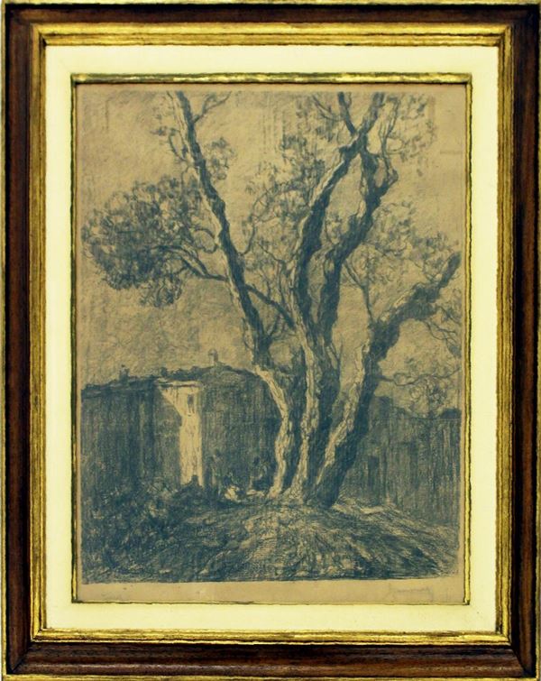 Ludovico Tommasi                                                            