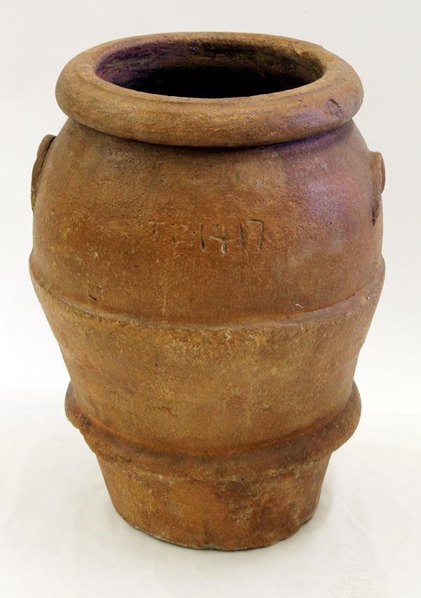 



Orcio