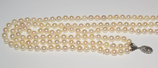 



COLLANA GIROCOLLO IN ORO KT 18 E PERLE&nbsp;&nbsp;&nbsp;&nbsp;&nbsp;&nbsp;&nbsp;&nbsp;&nbsp;&nbsp;&nbsp;&nbsp;&nbsp;&nbsp;&nbsp;&nbsp;&nbsp;&nbsp;&nbsp;&nbsp;&nbsp;&nbsp;&nbsp;&nbsp;&nbsp;&nbsp;&nbsp;&nbsp;&nbsp;&nbsp;&nbsp;&nbsp;&nbsp;&nbsp;&nbsp;&nbsp; 