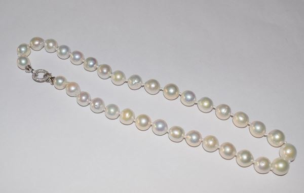 



COLLANA, GIROCOLLO DI PERLE&nbsp;&nbsp;&nbsp;&nbsp;&nbsp;&nbsp;&nbsp;&nbsp;&nbsp;&nbsp;&nbsp;&nbsp;&nbsp;&nbsp;&nbsp;&nbsp;&nbsp;&nbsp;&nbsp;&nbsp;&nbsp;&nbsp;&nbsp;&nbsp;&nbsp;&nbsp;&nbsp;&nbsp;&nbsp;&nbsp;&nbsp;&nbsp;&nbsp;&nbsp;&nbsp;&nbsp;&nbsp;&nbsp;&nbsp;&nbsp;&nbsp;&nbsp;&nbsp;&nbsp;&nbsp;&nbsp;&nbsp; 
