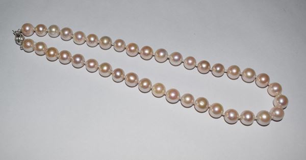 



COLLANA , GIROCOLLO DI PERLE&nbsp;&nbsp;&nbsp;&nbsp;&nbsp;&nbsp;&nbsp;&nbsp;&nbsp;&nbsp;&nbsp;&nbsp;&nbsp;&nbsp;&nbsp;&nbsp;&nbsp;&nbsp;&nbsp;&nbsp;&nbsp;&nbsp;&nbsp;&nbsp;&nbsp;&nbsp;&nbsp;&nbsp;&nbsp;&nbsp;&nbsp;&nbsp;&nbsp;&nbsp;&nbsp;&nbsp;&nbsp;&nbsp;&nbsp;&nbsp;&nbsp;&nbsp;&nbsp;&nbsp;&nbsp;&nbsp; 