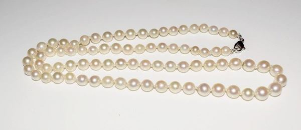 



COLLANA DI PERLE 