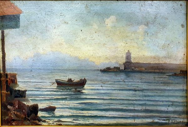 



Giovanni Freducci