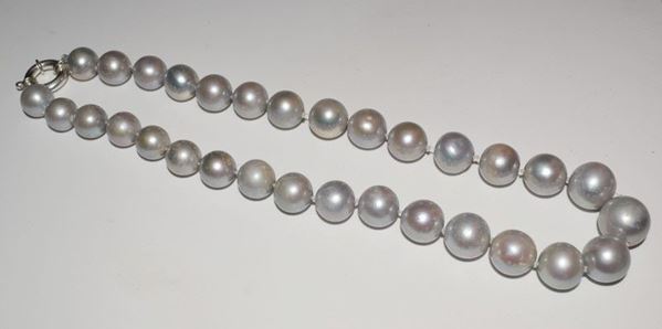 



COLLANA GIROCOLLO DI PERLE GRIGIE