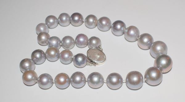 



COLLANA GIROCOLLO DI PERLE GRIGIE