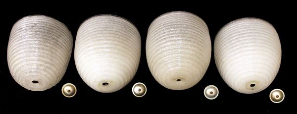 



Quattro applique, Murano, sec. XX