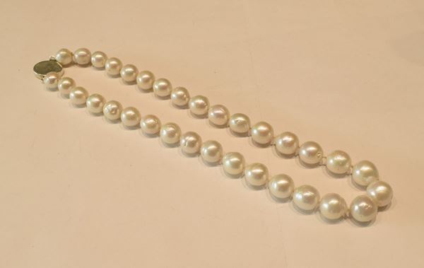 



GIROCOLLO DI PERLE