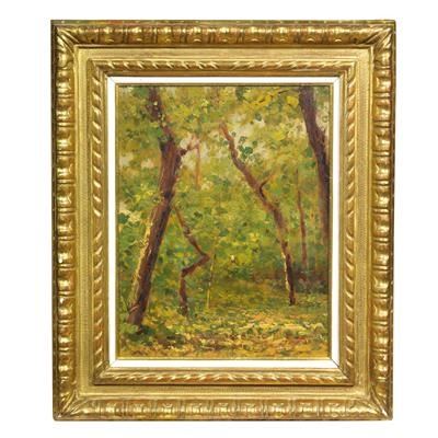 Flavio Bertelli - 



Flavio Bertelli