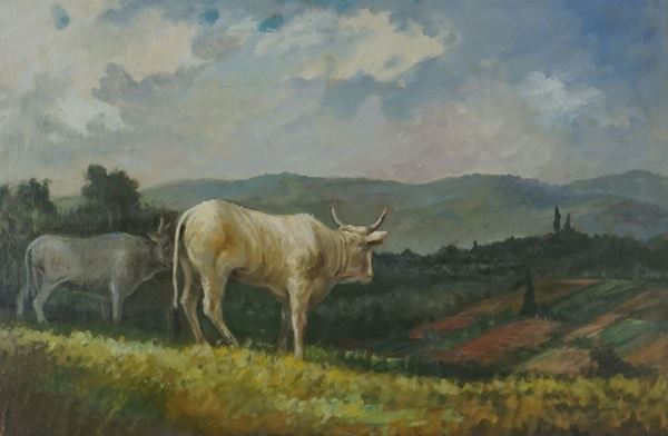 Fausto Magni