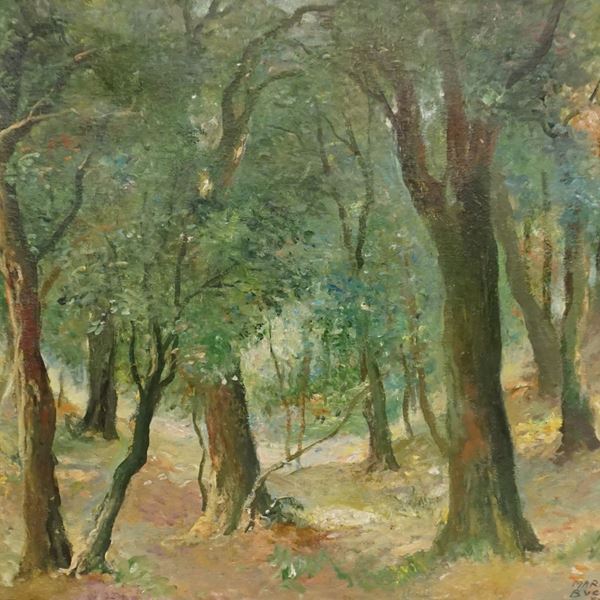 Mario Bucci