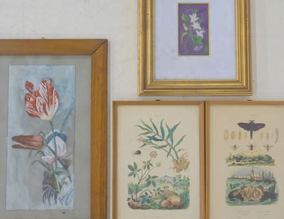 Scuola del XX Secolo