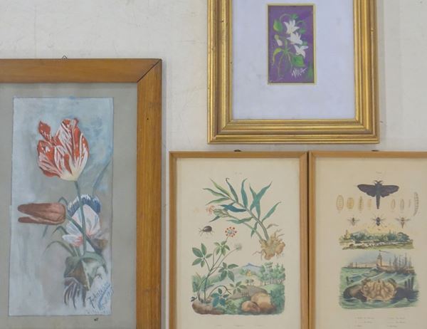 



Scuola del XX secolo