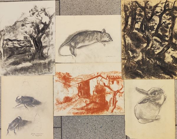 



Alberto Caligiani  - Asta Disegni, stampe e dipinti dal XVIII al XXI secolo - Poggio Bracciolini Casa d'Aste