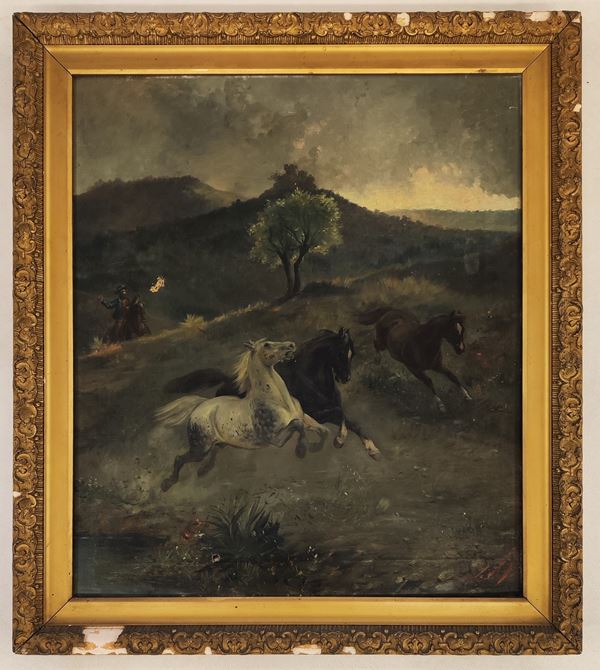 



Vittorio Cajani (1848-1888)