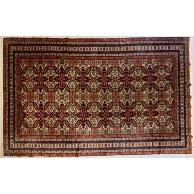 Tappeto Caucasico Shirwan