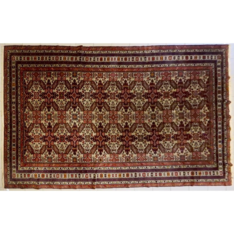 Tappeto Caucasico Shirwan
