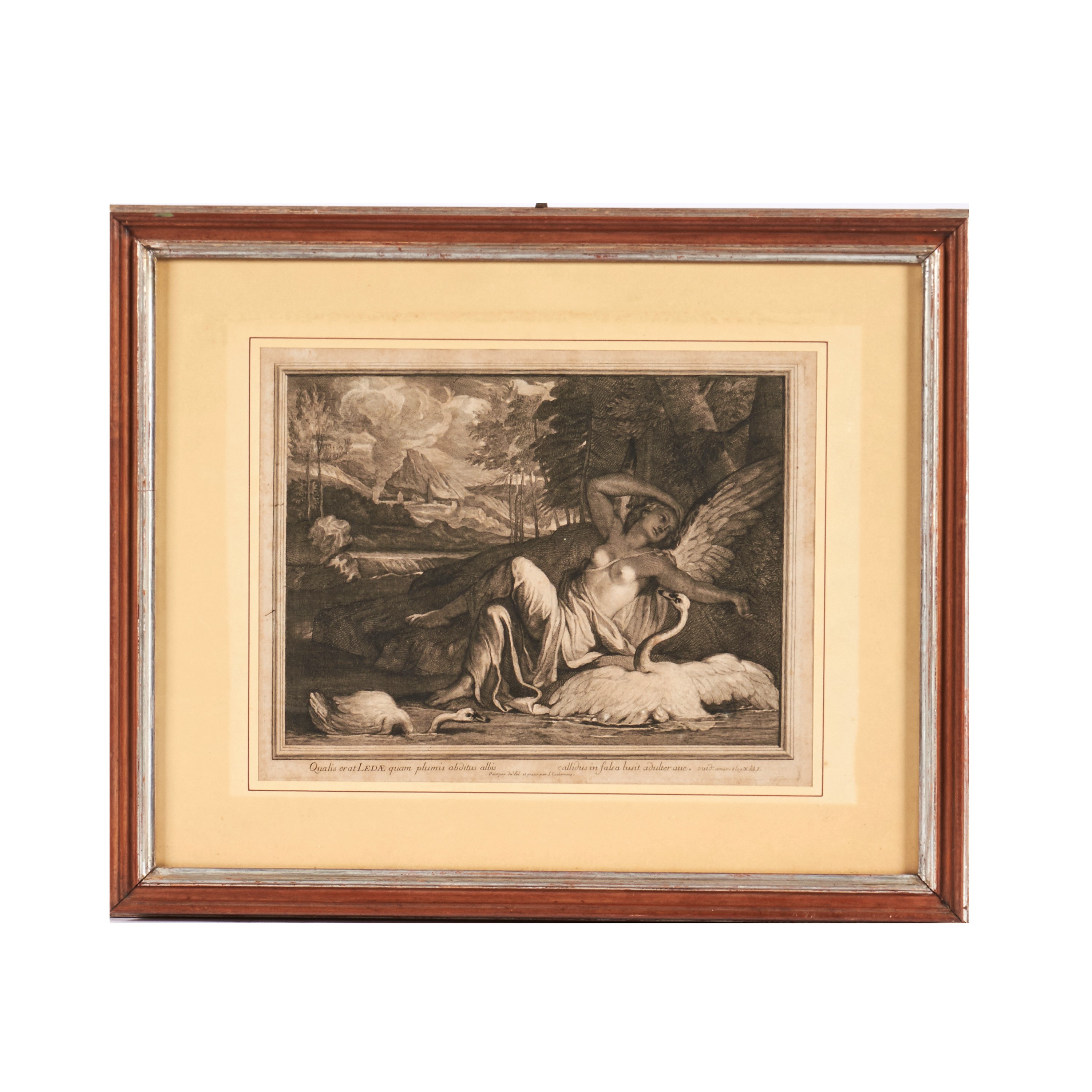 Scuola del sec. XVIII