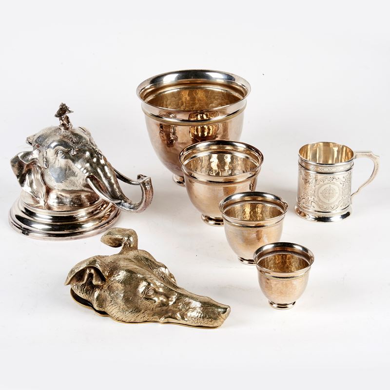 CALAMAIO A TESTA DI ELEFANTE