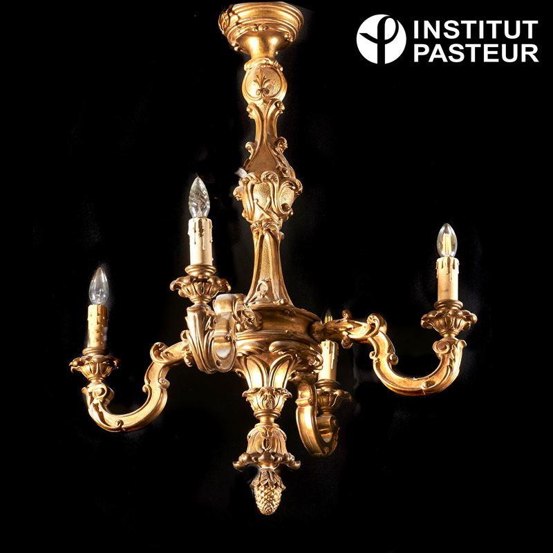 Lumiera, inizi sec. XX