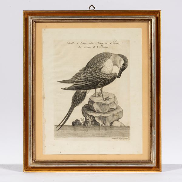 



Scuola italiana, sec. XX