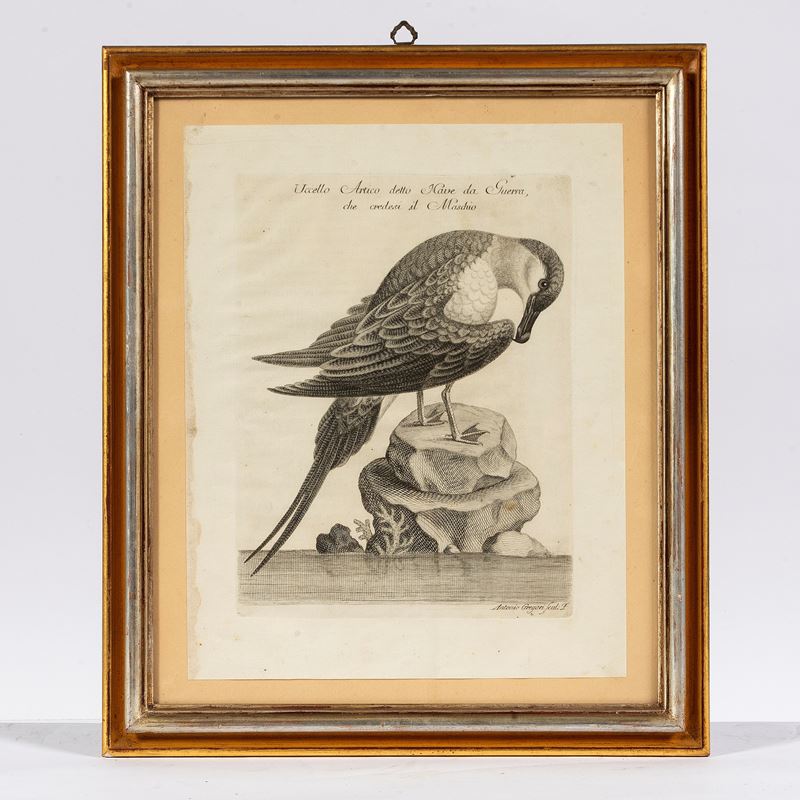 Scuola italiana, sec. XX