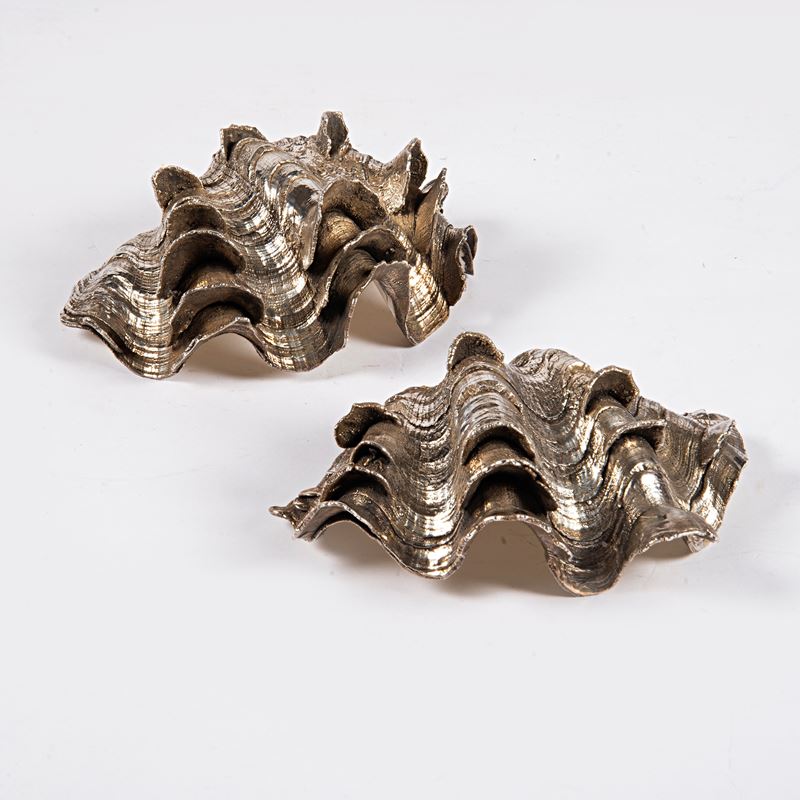 Coppia di conchiglie, sec. XX