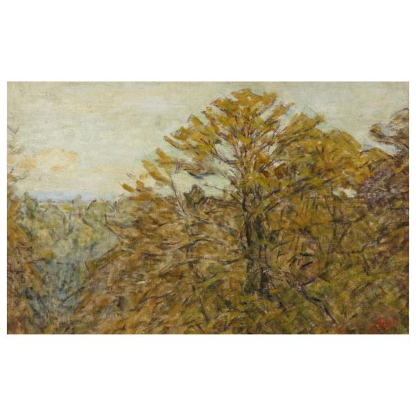 Luigi Gioli - 



Luigi Gioli