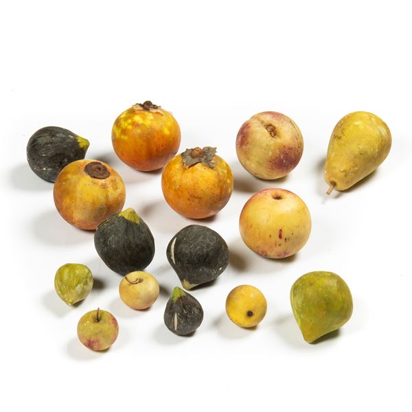 



Quindici frutti, sec. XIX&nbsp;&nbsp;&nbsp;&nbsp;&nbsp;&nbsp;&nbsp;&nbsp;&nbsp;&nbsp; 