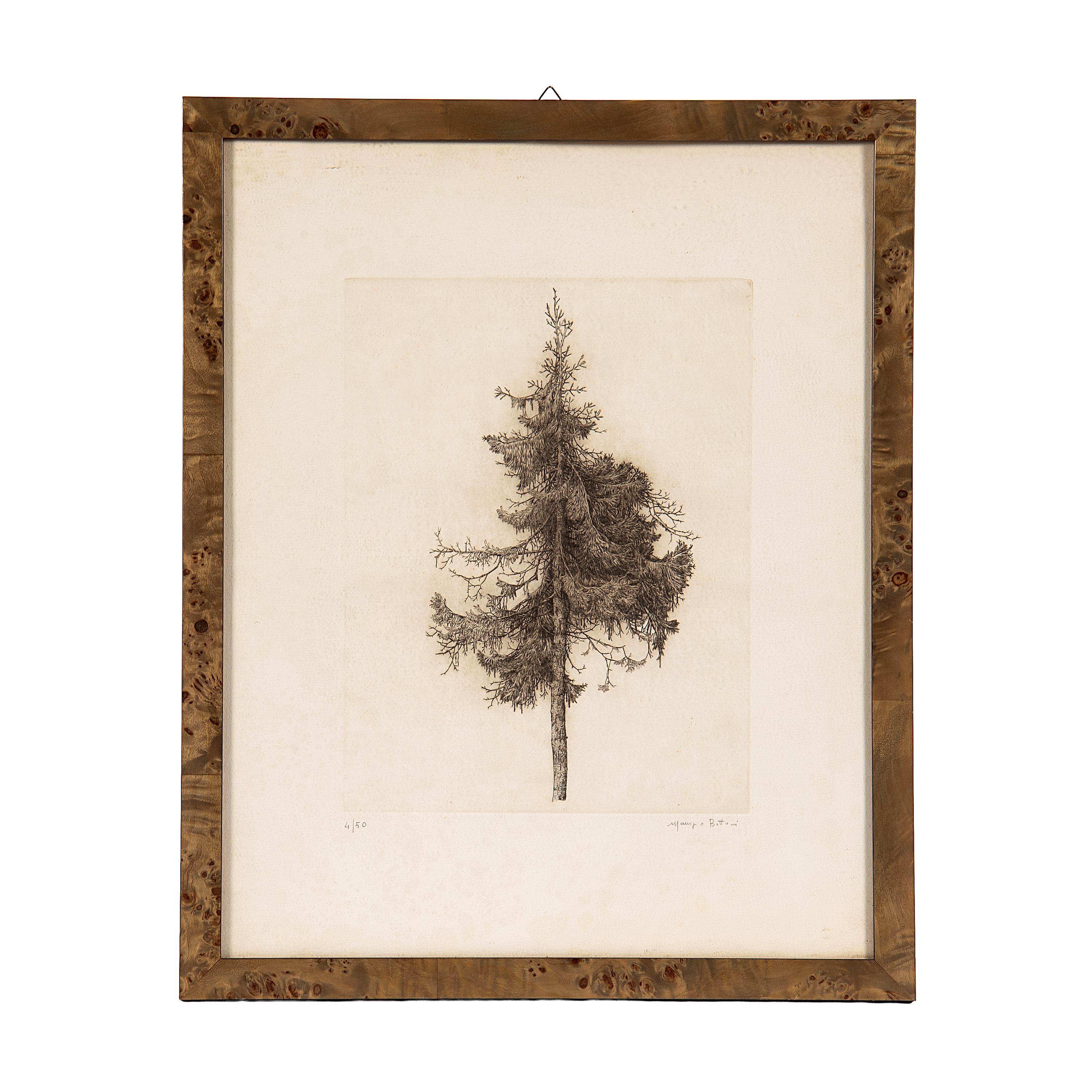 Bottoni (Milano, 1950), Omaggio a Dürer e Omaggio a Ligabue (due serigrafie)