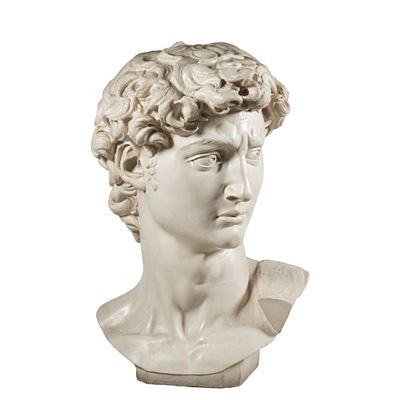 Testa di David, scultura in gesso (sec. XX), grandi dimensioni