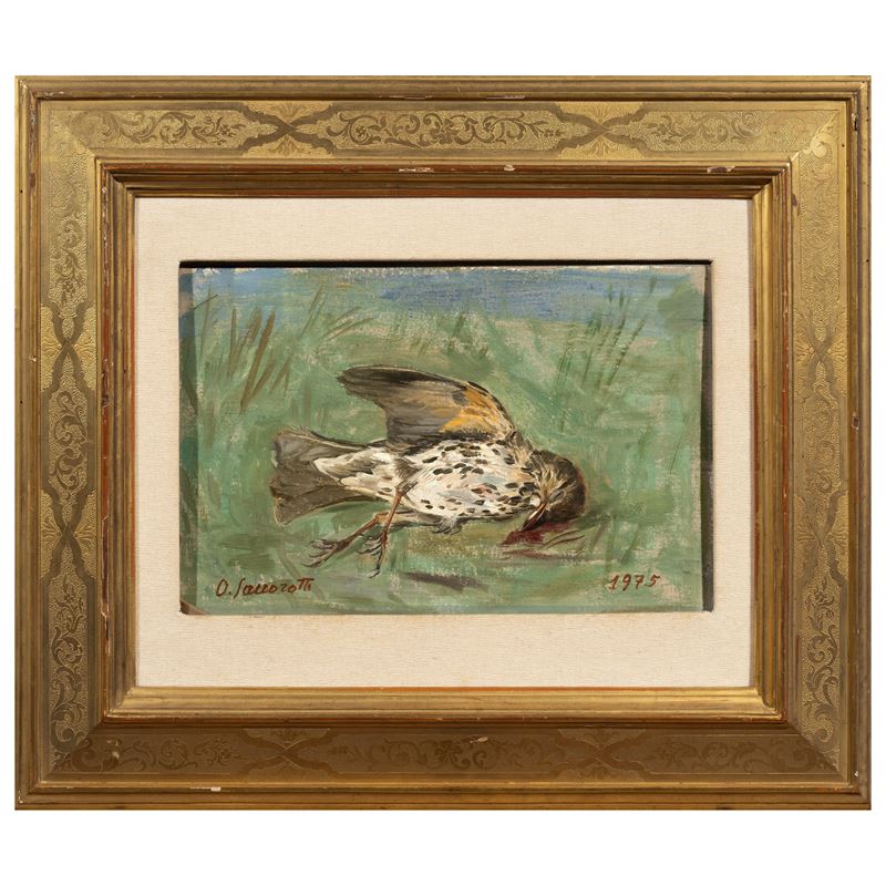 Oscar Saccorotti, Beccaccia